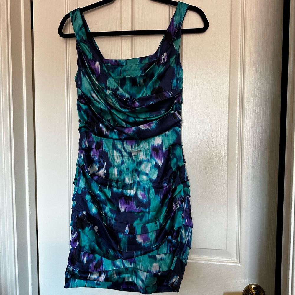 Express Women’s Dress